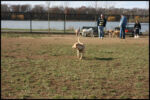 IMG_2960.jpg