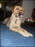 DSCN2524.jpg