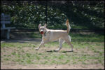 IMG_7925.jpg