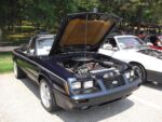 Fox-a-Que2010021.jpg