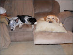 DSCN2508.jpg