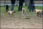 IMG_7984.jpg