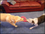 DSCN2489.jpg