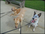 DSCN2451.jpg