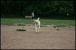 IMG_4622.jpg