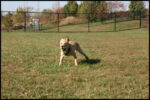 IMG_2656.jpg