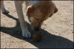 IMG_7955.jpg