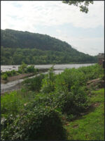 2012-08-05_09-46-00_57.jpg