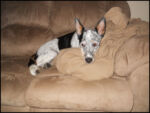 DSCN2452.jpg