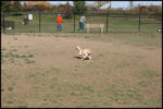 IMG_2596.jpg