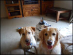 DSCN2477.jpg