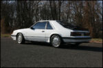 1986MustangSVO-IMG_0379.jpg