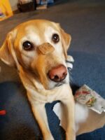 20171225_152455.jpg