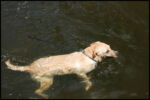 IMG_5153.jpg