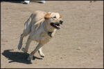 IMG_8022.jpg