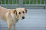 IMG_9847.jpg