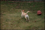IMG_7300.jpg
