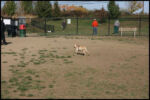 IMG_2597.jpg