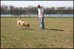 IMG_3797.jpg