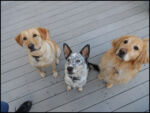 DSCN2495.jpg