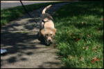 IMG_2250.jpg