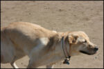 IMG_8013.jpg