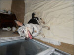 DSCN2439.jpg