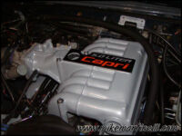 Custom Cobra Intake Plate