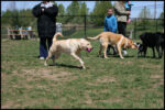 IMG_4412.jpg