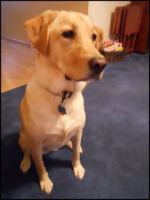 DSCN2536.jpg
