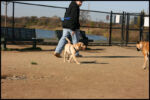 IMG_2642.jpg