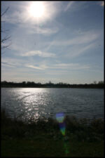 IMG_2567.jpg