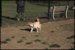 IMG_2587.jpg