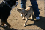 IMG_2573.jpg