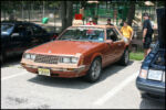IMG_2931.jpg