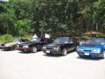 Fox-a-Que2010008.jpg