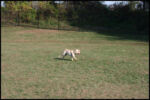 IMG_2696.jpg