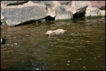 IMG_4894.jpg
