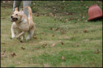 IMG_7170.jpg