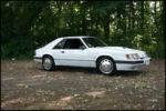 1986-mustang-svo-img_8535.jpg