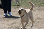 IMG_7989.jpg