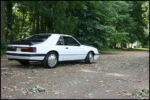 1986-mustang-svo-img_8546.jpg