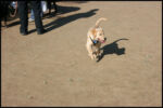 IMG_2599.jpg