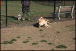 IMG_2589.jpg