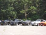 Fox-a-Que2010057.jpg