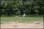 IMG_4554.jpg
