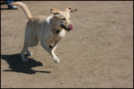 IMG_8012.jpg