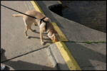 IMG_2839.jpg