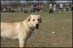 IMG_3831.jpg