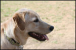 IMG_3784.jpg